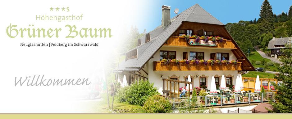 Hotel & Restaurant Gruener Baum - Die Gruene Oase Am Feldberg Фелдберг Екстериор снимка