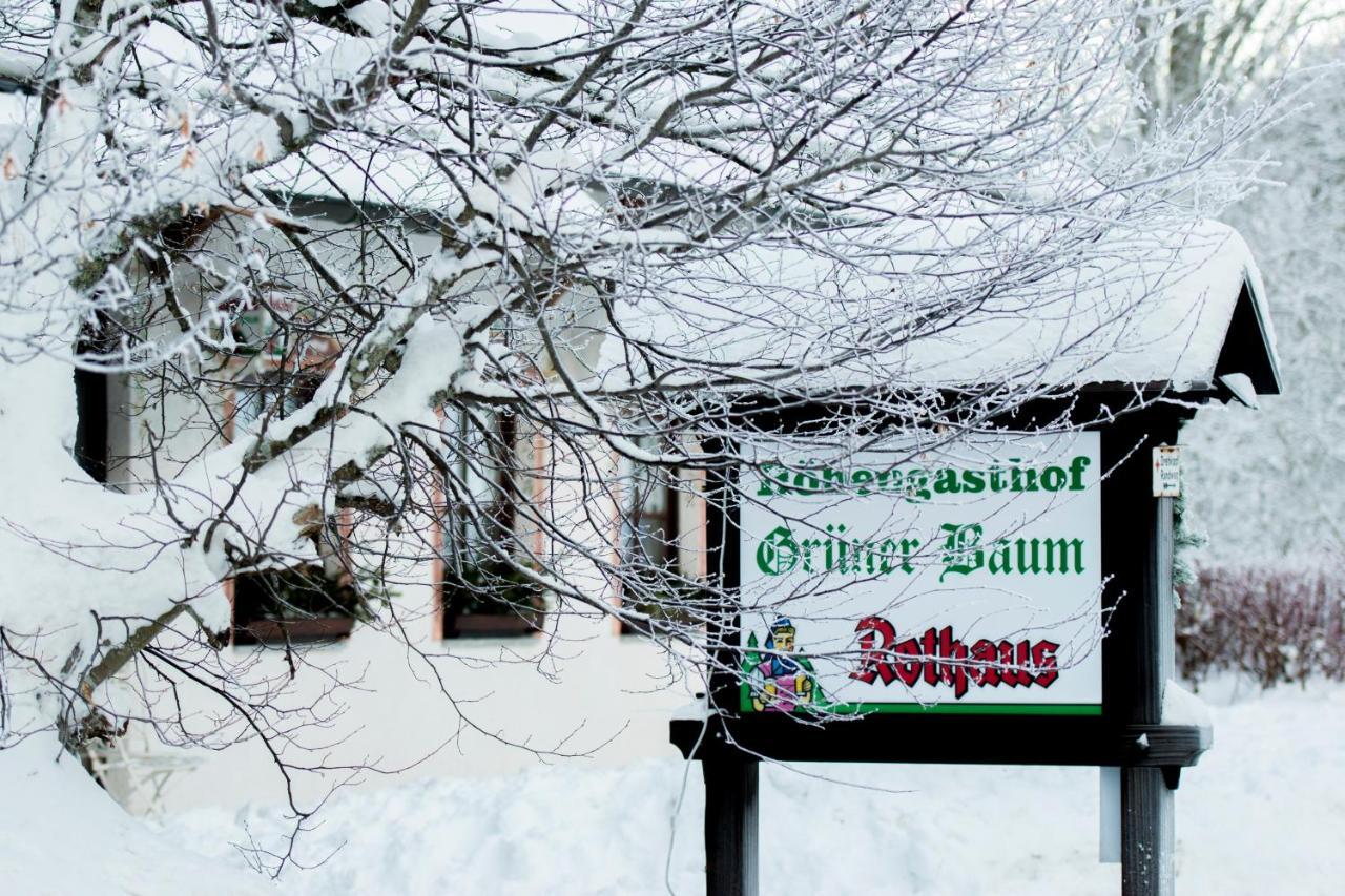 Hotel & Restaurant Gruener Baum - Die Gruene Oase Am Feldberg Фелдберг Екстериор снимка